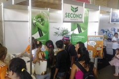 dia-nacional-construcao-social-2014-seconci.manaus-16